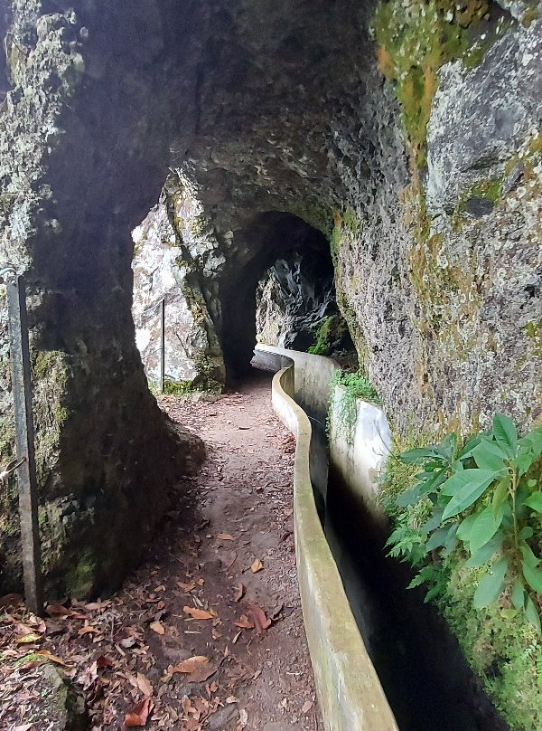 Levada do Furado-Santana必去景点