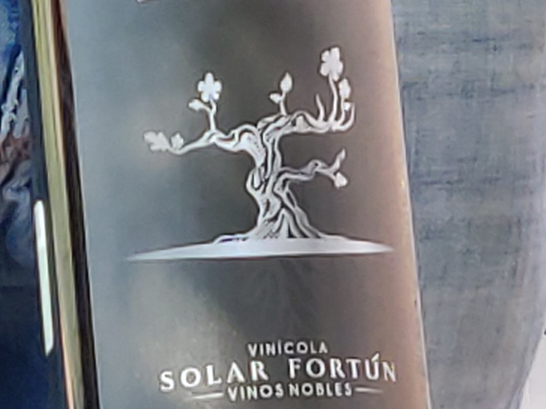 Solar Fortun景点图片