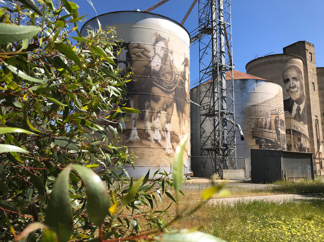 St James Silo Art-St James必去景点