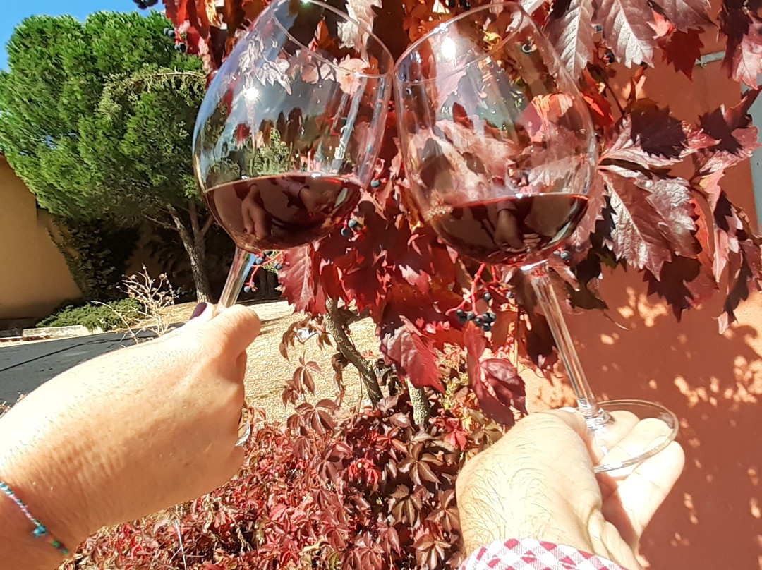 Bodegas La Legua-Fuensaldana必去景点