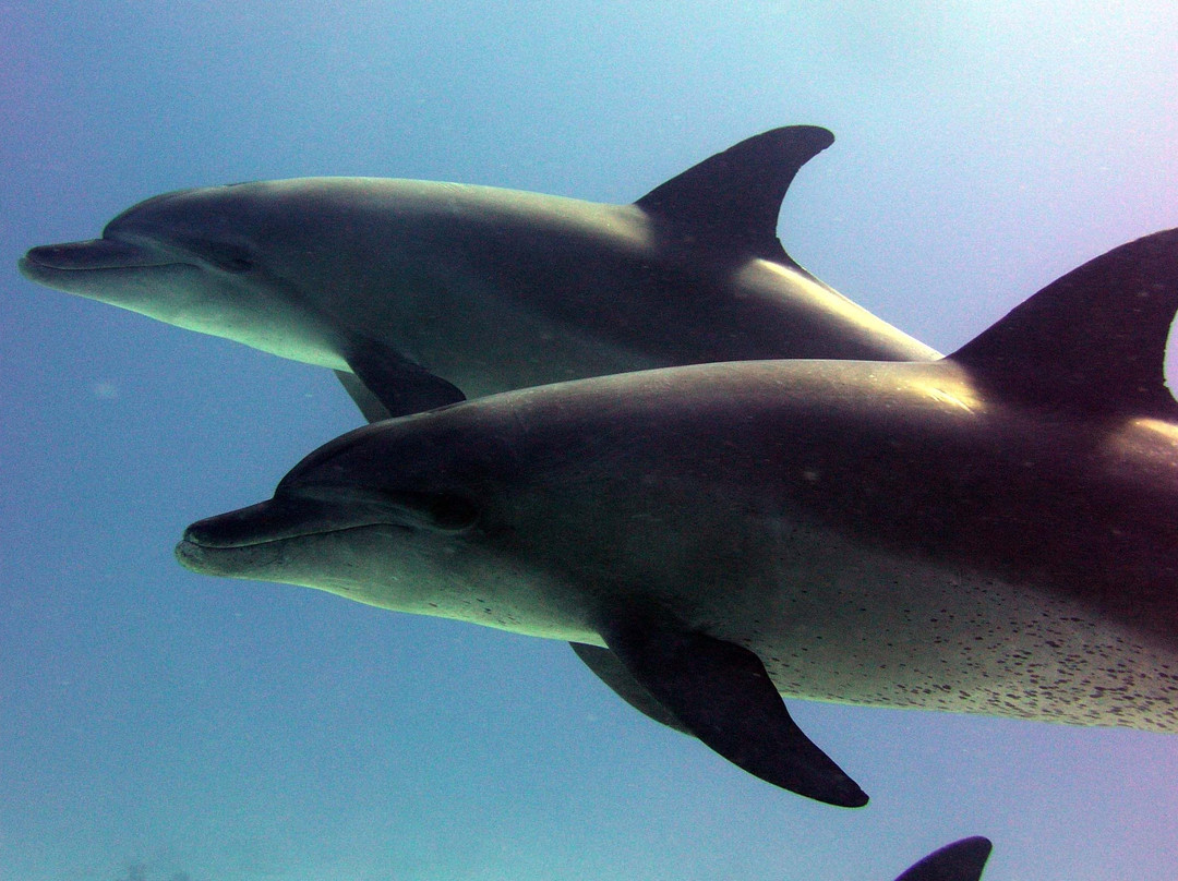 Got Your Guides-马卡迪湾必去景点