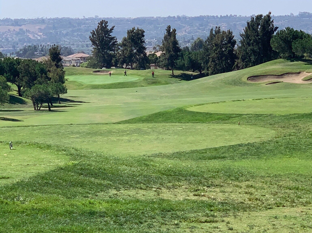 Arrowood Golf Course-欧申赛德必去景点