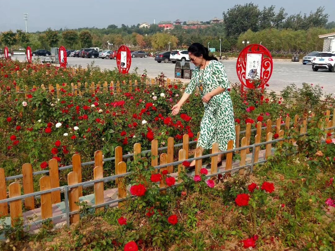 锦州北镇崇兴寺-北镇市必去景点