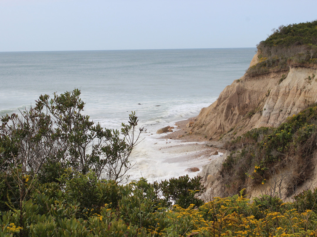 Rodman's Hollow-新肖勒姆必去景点