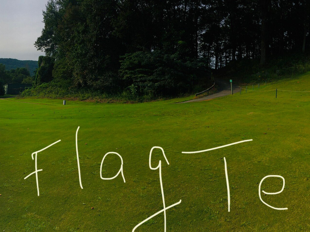 Kingwood Resort主图