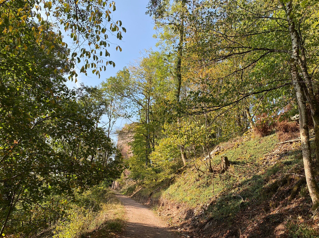 Cascade du Nideck-Oberhaslach必去景点