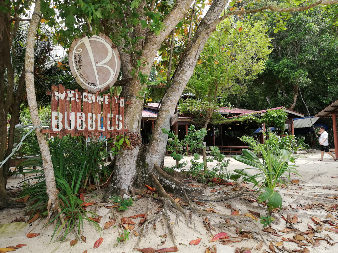 Bubbles Dive Resort主图
