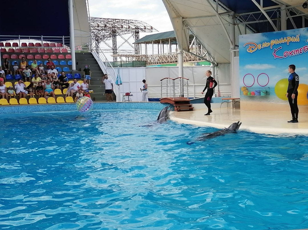 Dolphinarium Koktebel-Koktebel必去景点