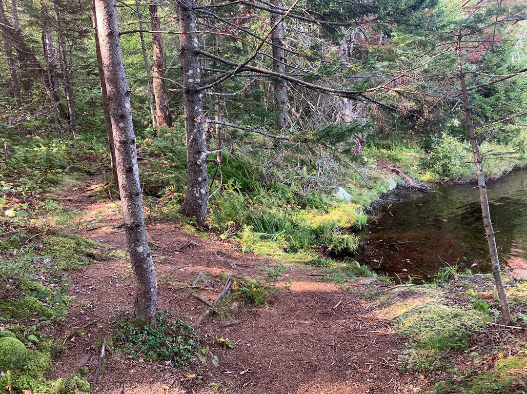 Woodford State Park-Woodford必去景点