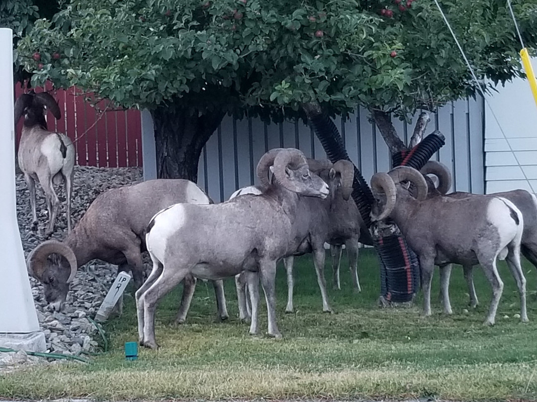 Crystal Springs Lodge主图