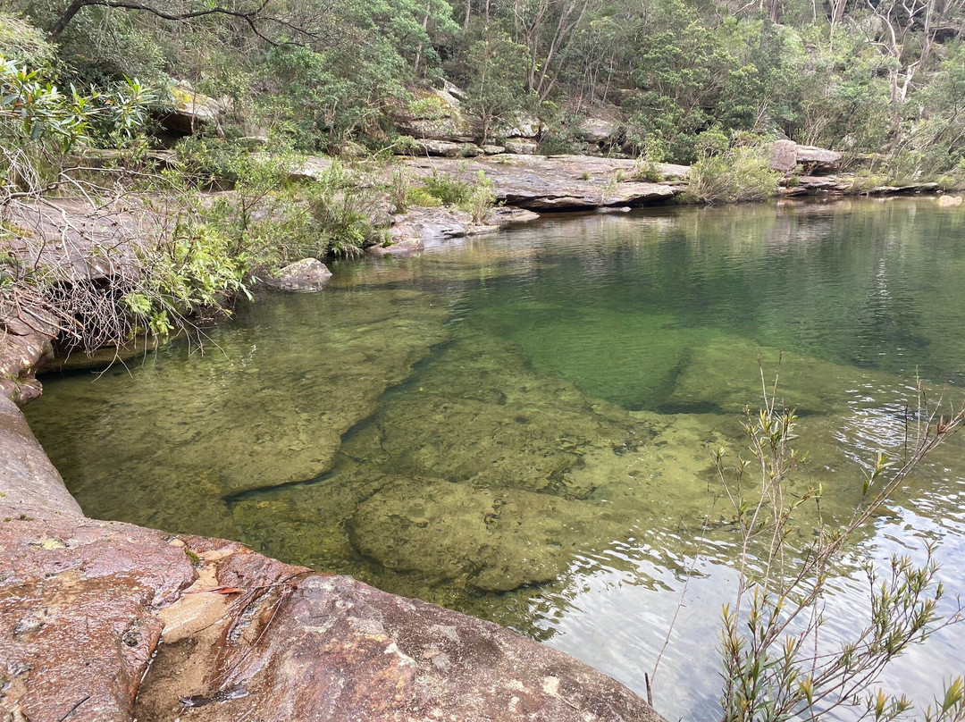 Karloo Pools-Royal National Park必去景点