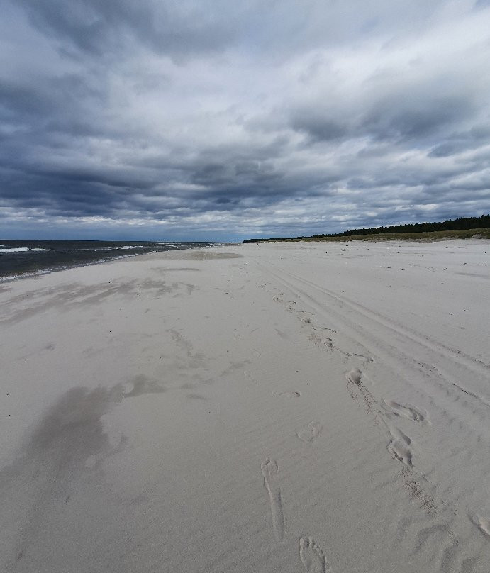 Plaża Białogóra景点图片