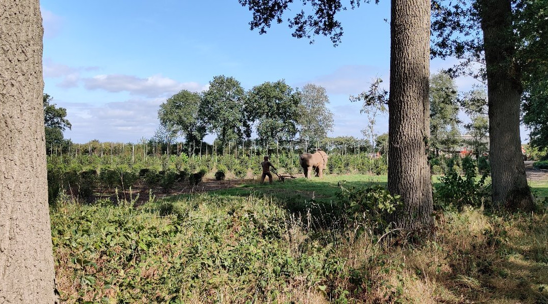 Andreas Schotel Museum-Esbeek必去景点