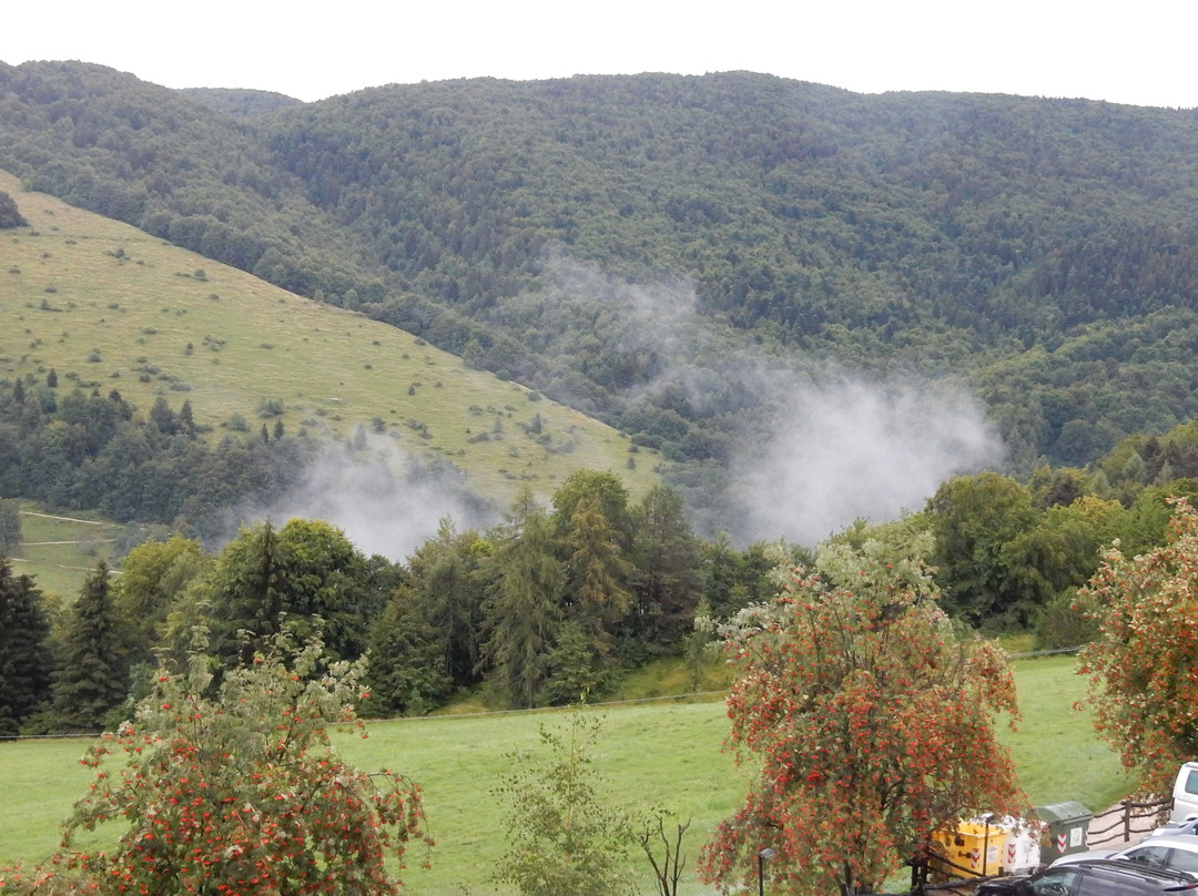 Albergo Alpino主图