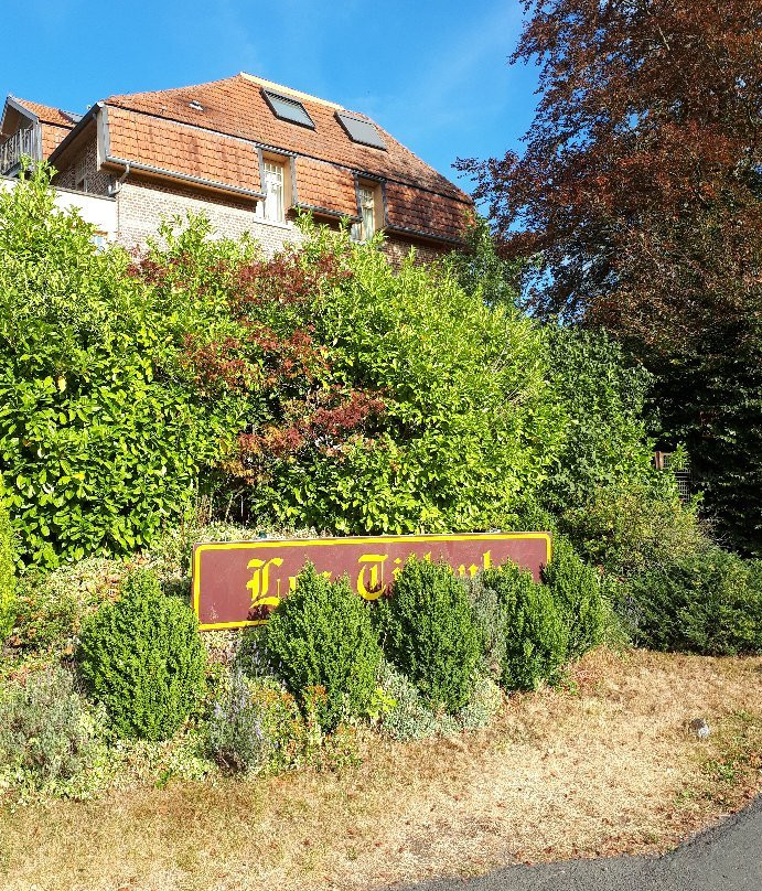 Hotel Les Tilleuls主图