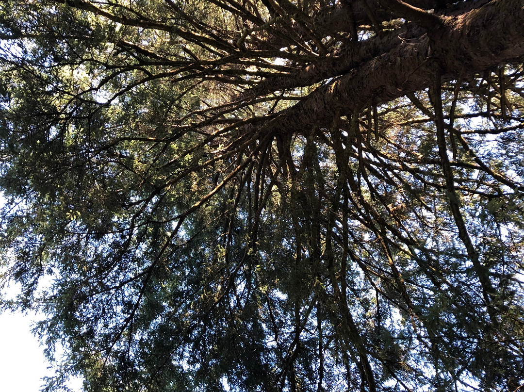 Beverly Beach State Park-Otter Rock必去景点