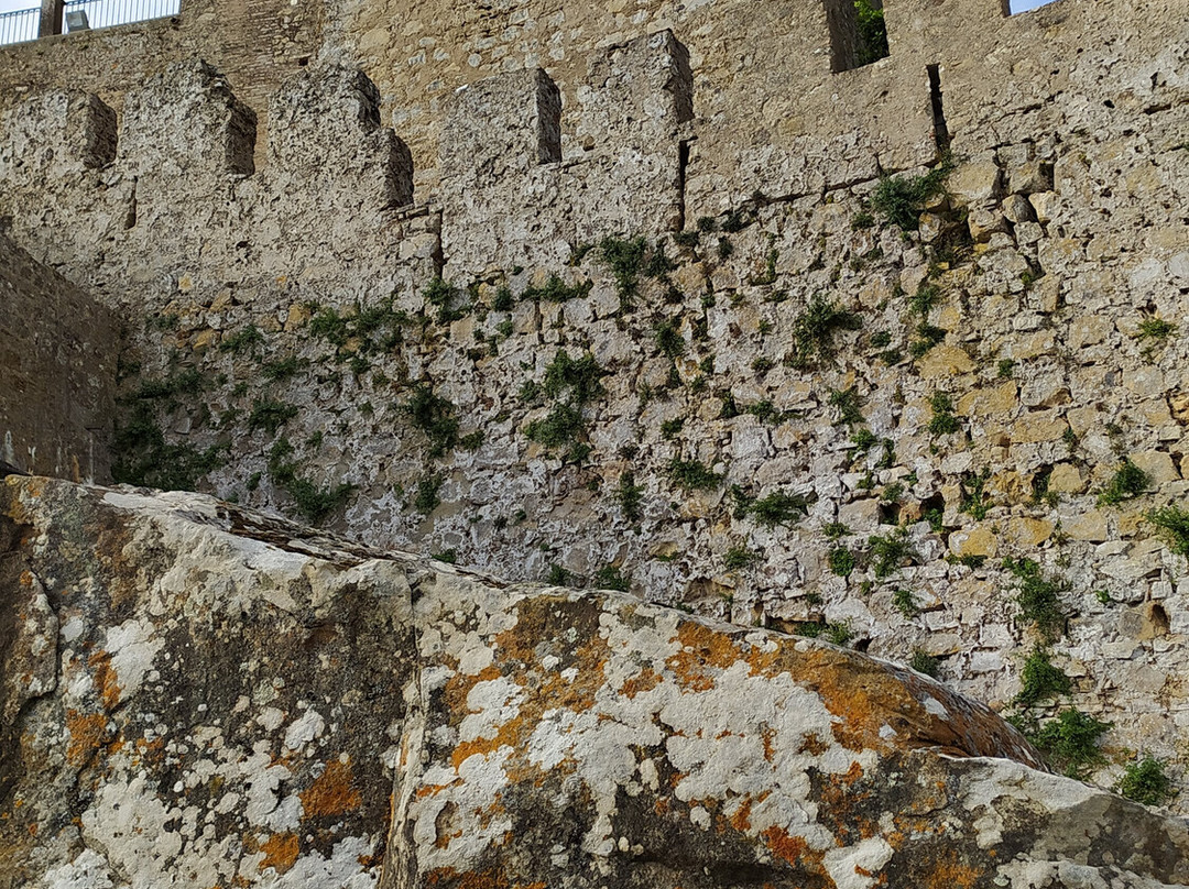 Hotel Tugasa Castillo De Castellar主图