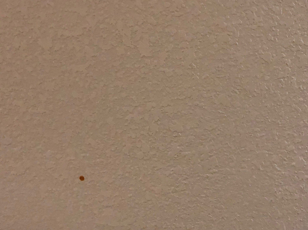 Super 8 by Wyndham Conway主图