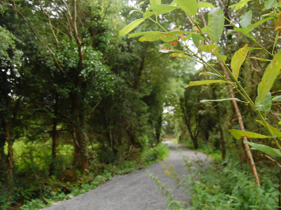 Bothar Na Naomh Cloone景点图片