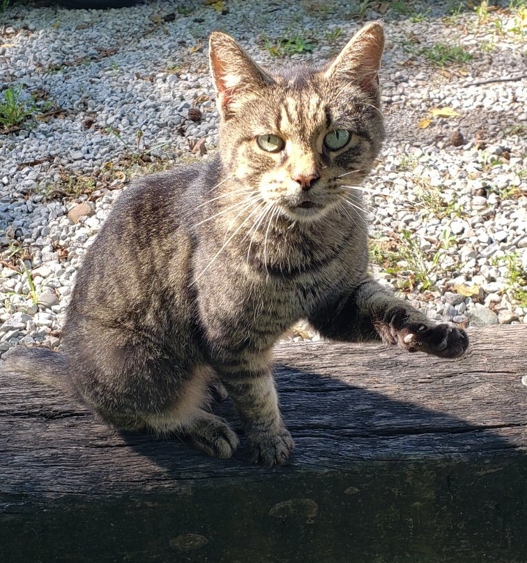 The Safe House Bed and Breakfast主图