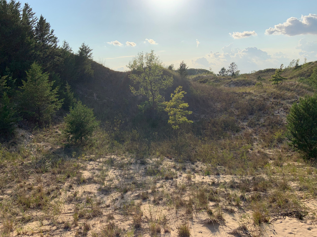 Dune Succession Trail景点图片