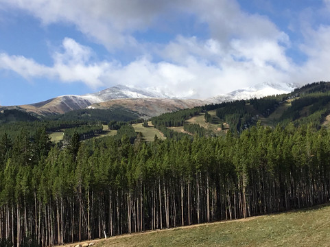 Grand Lodge on Peak 7主图