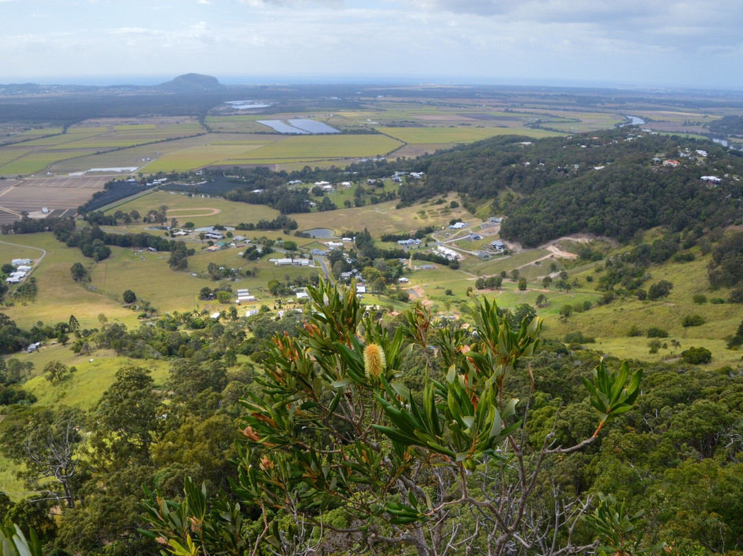 Mount Ninderry景点图片