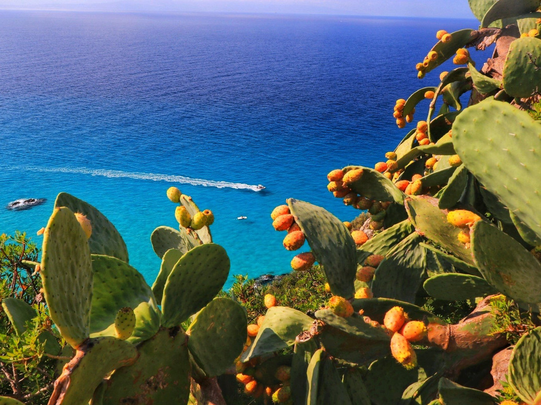 Spiaggia Paradiso del sub景点图片