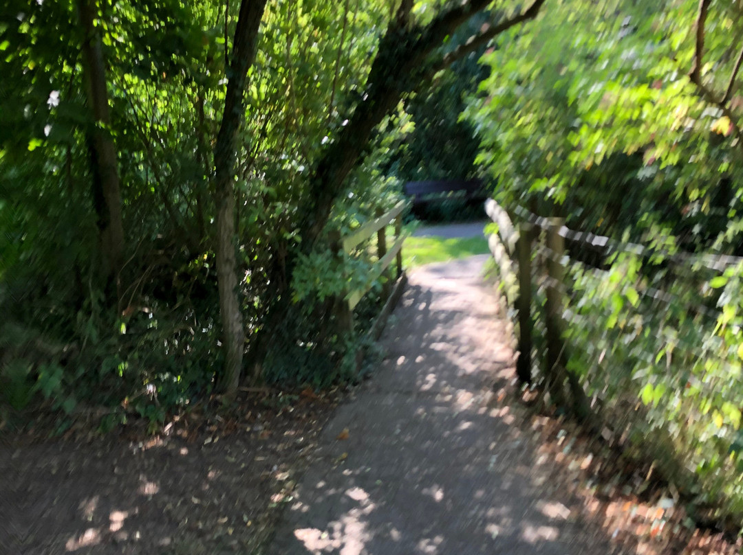 East Town Park-Haverhill必去景点