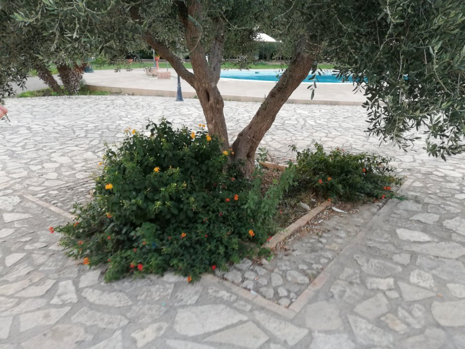 Agriturismo Monticelli主图