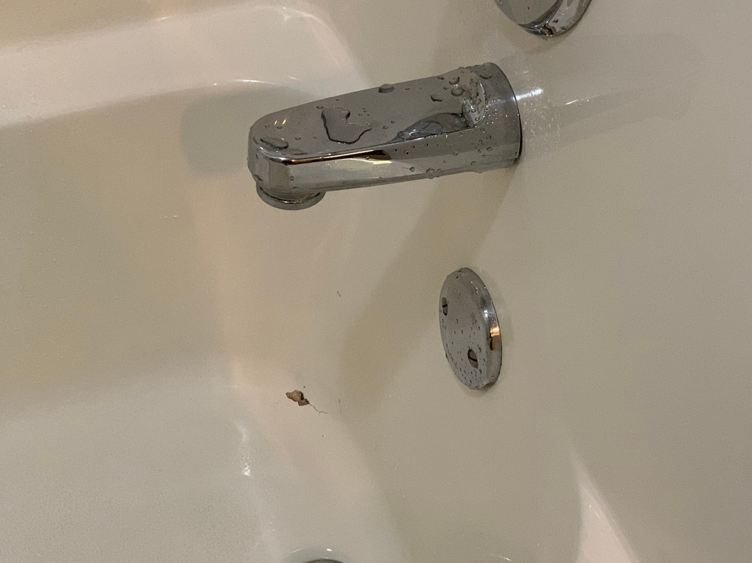 Quality Inn & Suites主图