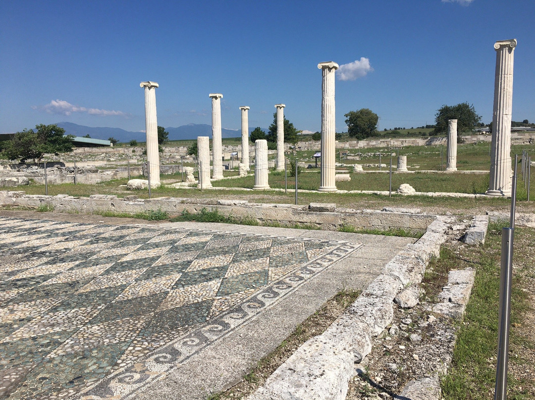 Archaeological Site at Pella景点图片