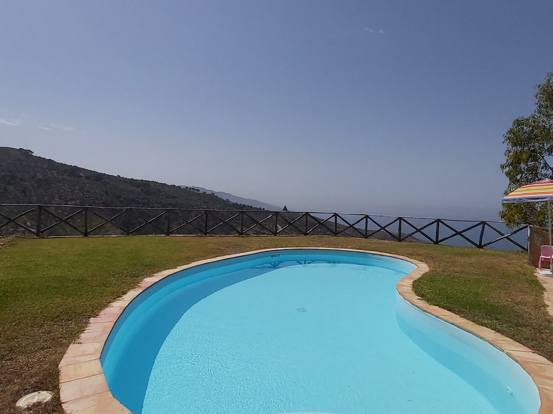 Agriturismo Pattina主图