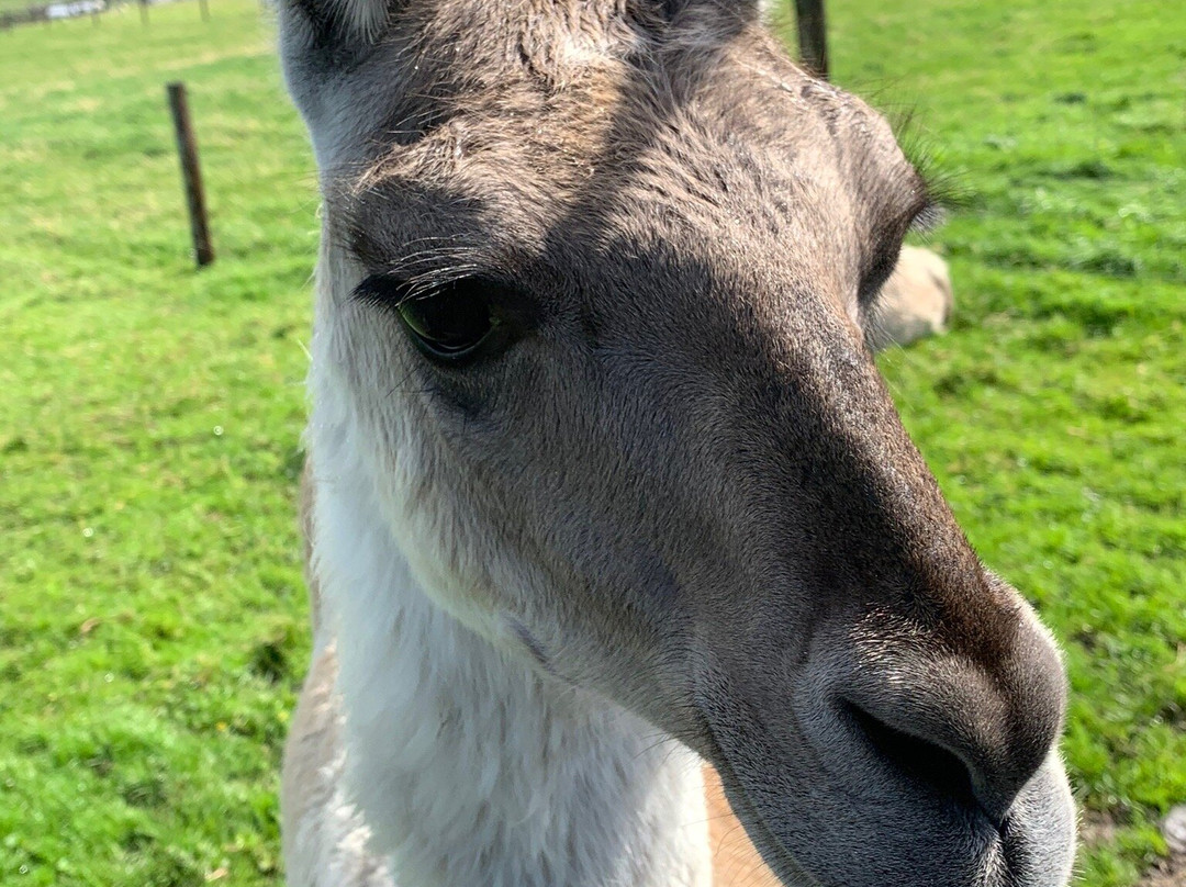 Moher Hill Open Farm-Liscannor必去景点