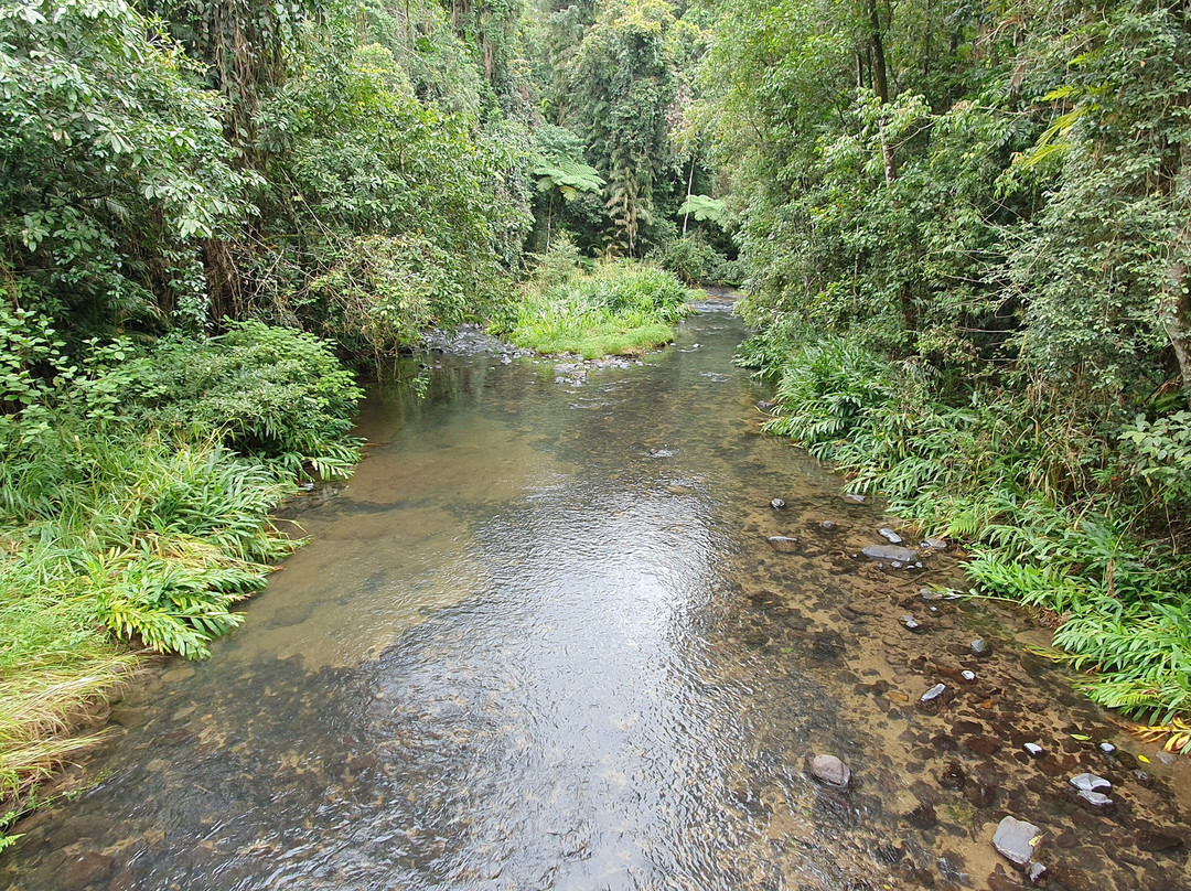Henrietta Camp Ground-Herberton必去景点