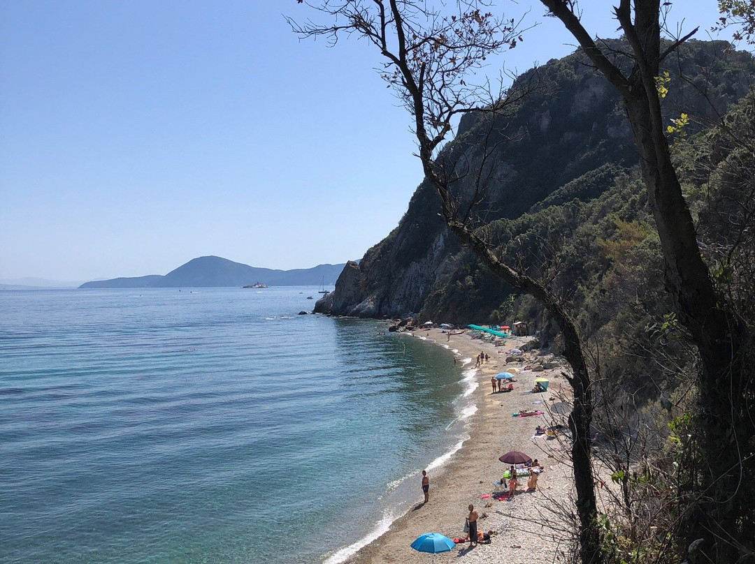 Spiaggia di Seccione景点图片