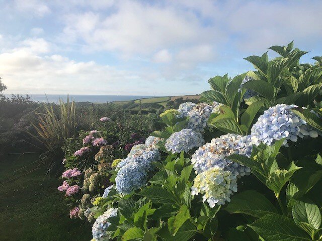 Trelawne Hotel-浴室