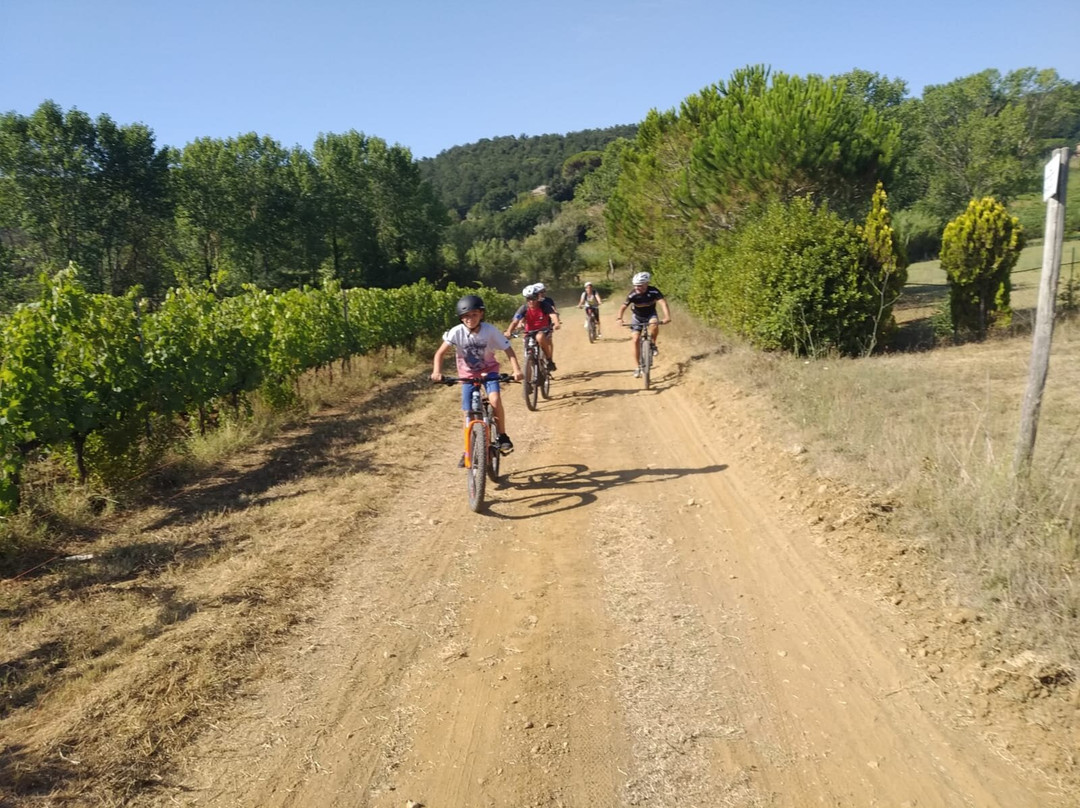 Tuscany Love Bike景点图片