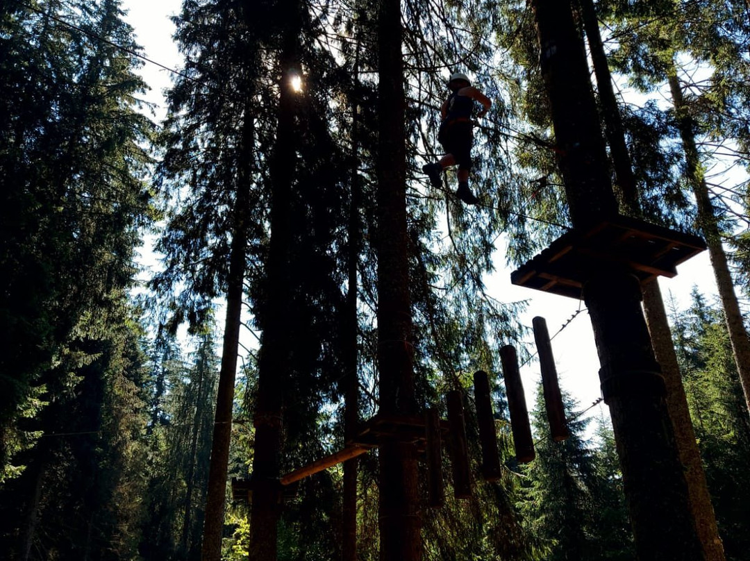 Agility Forest San Martino di Castrozza景点图片