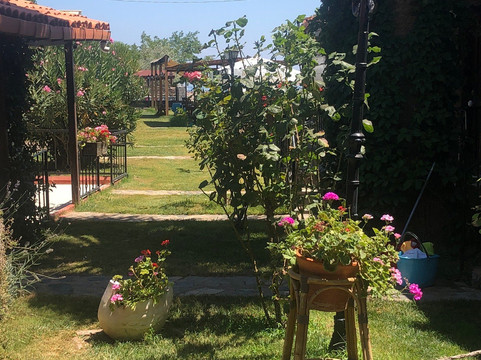 艾索斯萨尔杜尼亚精品酒店主图