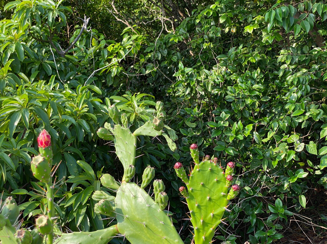 Sebukang Bay Resort主图