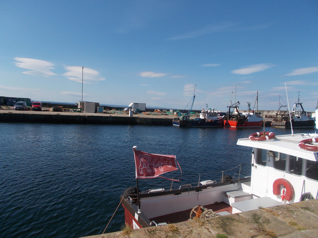 Burghead Fort