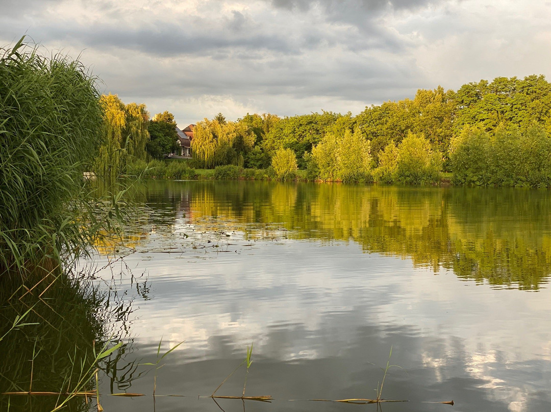 Liget Wellness & Conference Hotel主图