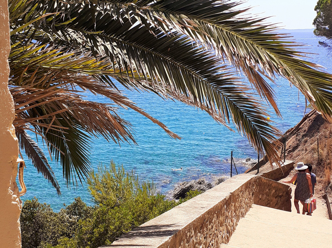 Plage de Bonporteau-Cavalaire-Sur-Mer必去景点