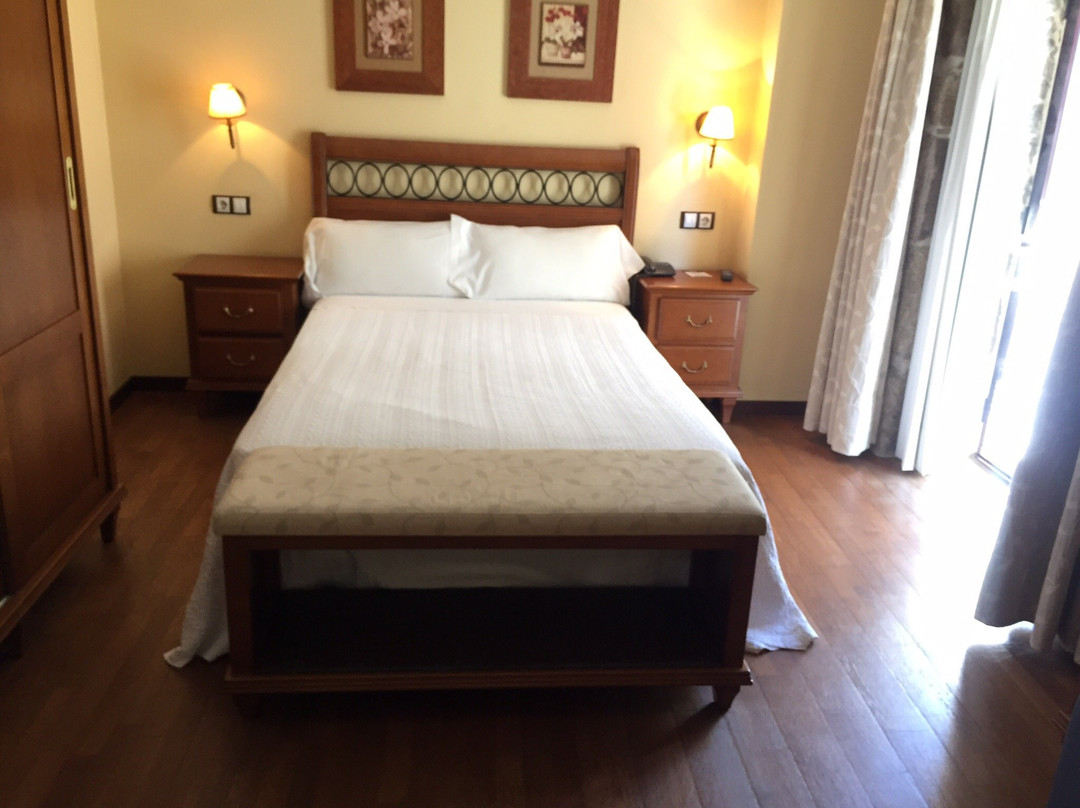 Hotel Celta主图