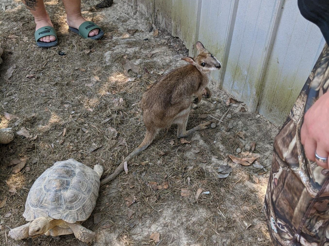 Kliebert & Sons Gator Tours-Ponchatoula必去景点