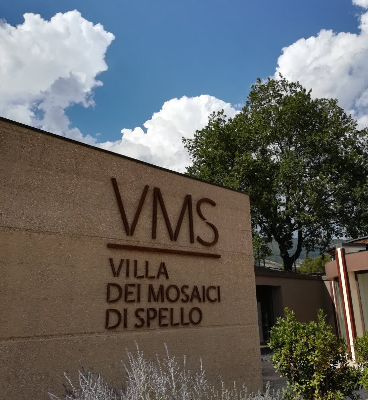 Villa dei Mosaici景点图片