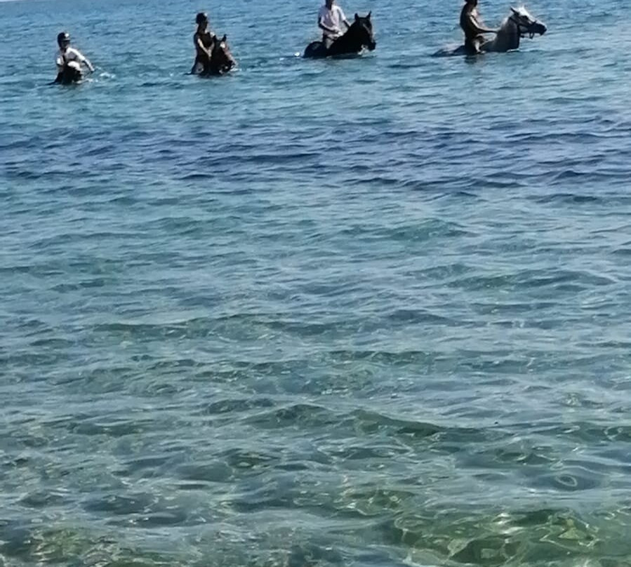 Aux Poneys d Eden-Canale-di-Verde必去景点