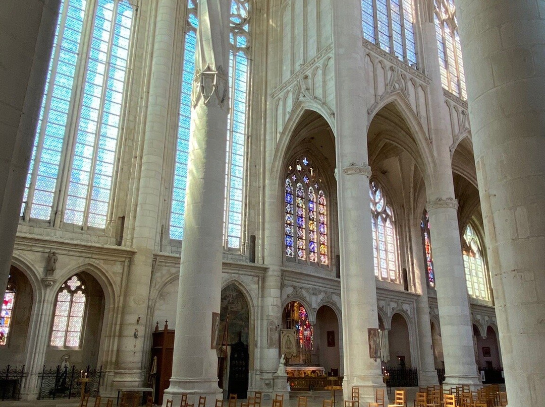 Basilica of Saint Nicholas de Port景点图片