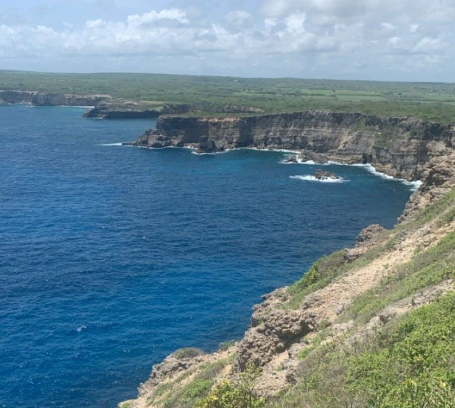 Pointe de la Grande Vigie-Anse-Bertrand必去景点